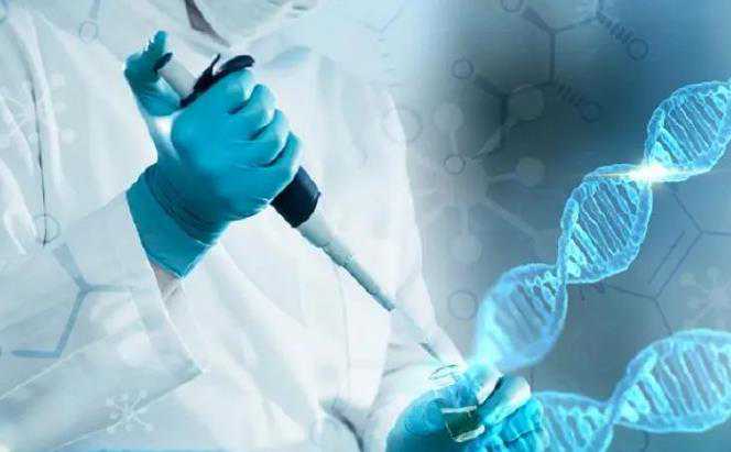 为什么美俄都不禁枪?俄罗斯有条规定让人佩服 为什么美俄都不禁枪?俄罗斯有条规定让人佩服