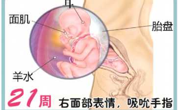 【学校推荐】阿尔泰国立大学