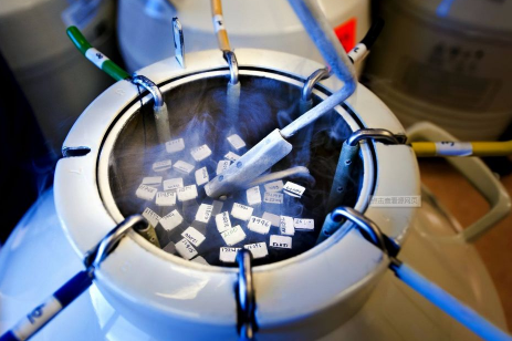 从职业运动员到餐馆老板 退役后他把足球文化搬进了面馆