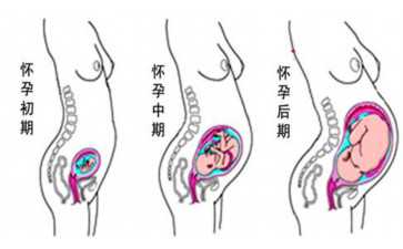 俄罗斯民调:因收入低,俄年轻人不想当演员 俄罗斯民调:因收入低,俄年轻人不想当演员