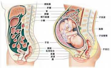 迈阿密大学（俄亥俄）高中生能直接报考吗？