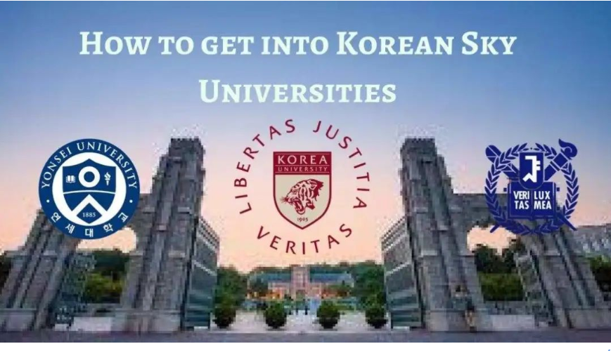 高校取消海外经历要求,“土博”终究要靠实力说话