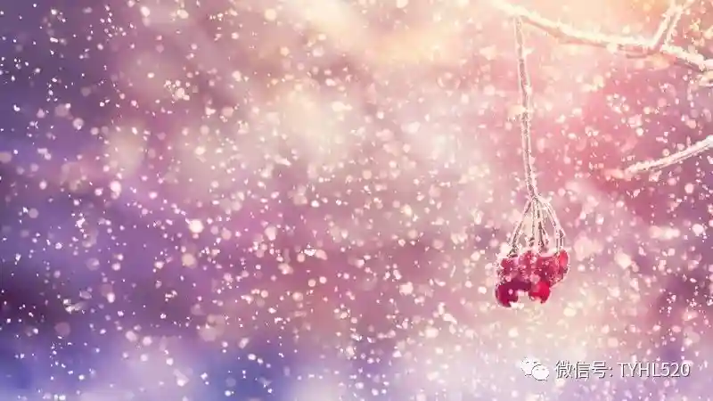 恋爱是两个人互相爱慕行为 恋爱是两个人互相爱慕行为