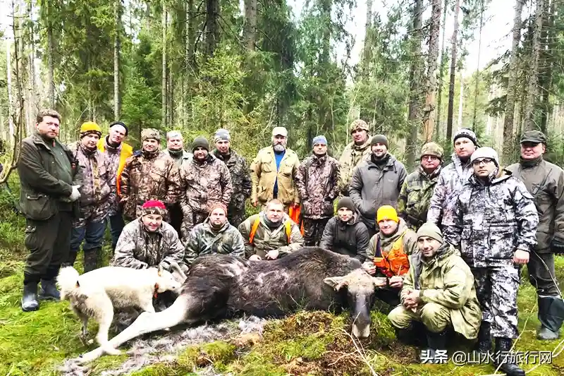 去俄罗斯狩猎还在找俱乐部?老王带你寻找专业猎人,省去所有烦恼 去俄罗斯狩猎还在找俱乐部?老王带你寻找专业猎人,省去所有烦恼