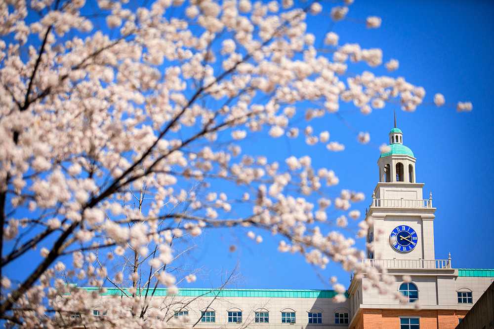 保定人的骄傲!画家刘泳花卉系列韩国邀请展开幕 保定人的骄傲!画家刘泳花卉系列韩国邀请展开幕
