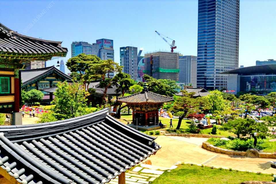 我们的节日丨“看外面” “外面看” ——在晋留学生在清徐“过大年”