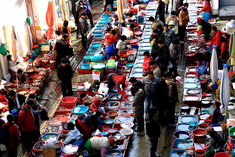 致疫情下的小留学生父母:这个测试孩子拿不到4分不建议出国