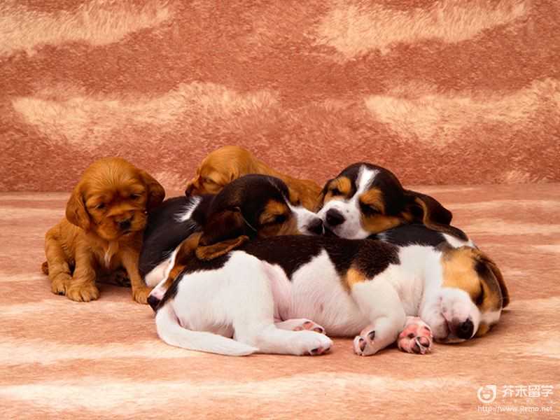 “烫发分12个区收费”门店被责令停业,总店回应