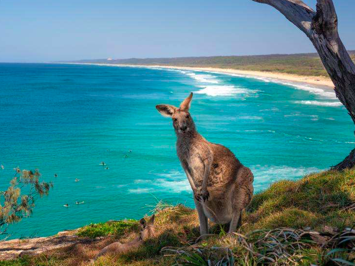 外媒：德军建立二战后首个海外基地 第一批士兵抵达立陶宛