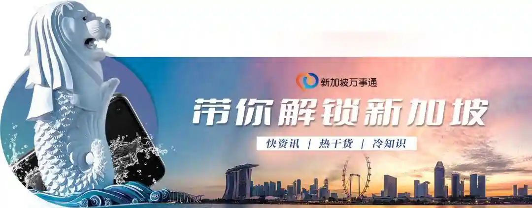 在新加坡读书工作10年，买房、拿PR、成公民，如今却想润回国..