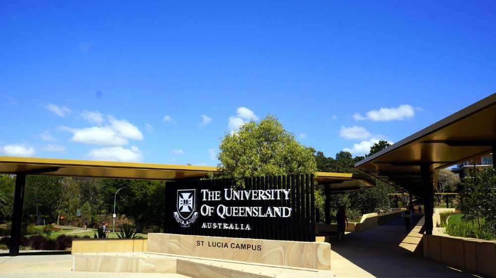官宣!这所大学提高雅思要求!准留学生:悬着的心终于死了...