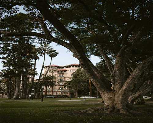 从卡拉奇到中国农科城:一位“巴铁”留学生的丝路“农缘” 从卡拉奇到中国农科城:一位“巴铁”留学生的丝路“农缘”